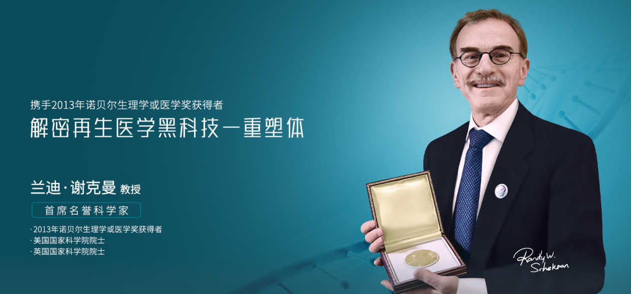 WPS图片(1).png