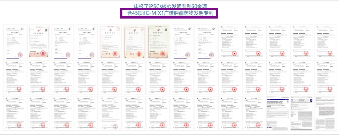WPS图片(3).png