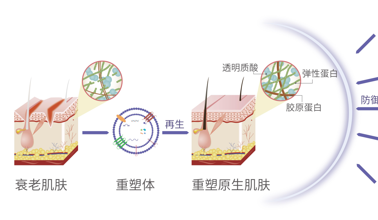 WPS图片(6).png